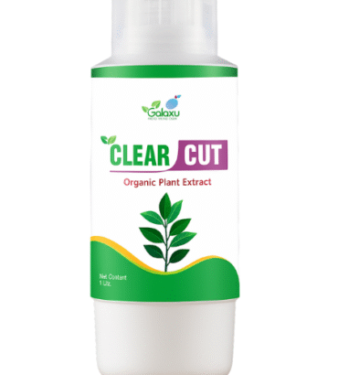 Clear Cut / Detox -Up