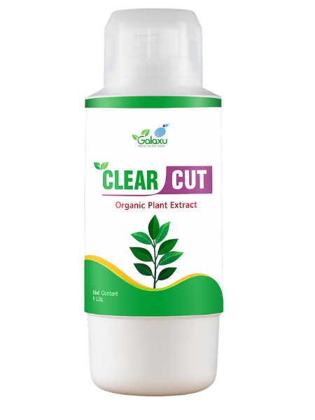 Clear Cut / Detox -Up