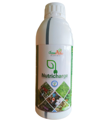 Nutricharge -UP (Humic + Amino + Seaweed )