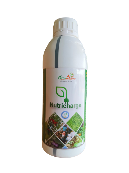 Nutricharge -UP (Humic + Amino + Seaweed )